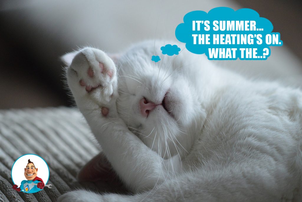 Heating Comes on with Hot Water